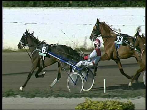 Trotto 31/12/2015 - 1° corsa