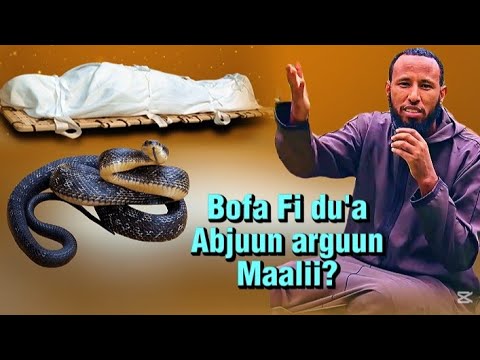 Bofa Abjuudhan Arguun Maalii?  Sh/Sa'ad Aliyyii