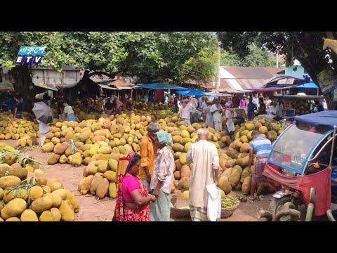 শুধু কাঁঠাল আর কাঁঠাল, ফলন ভালো ন্যায্যমূল্য নেই