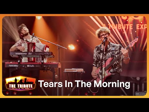 Tears In The Morning // Beach Boys' Best // BEACH BOYS COVER // The Tribute