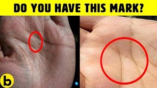 What Your Hands Say About Your Personality & IQ