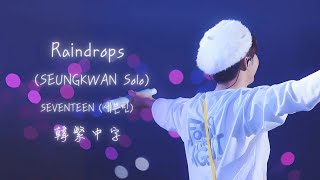 Download lagu 【韓繁中字】SEVENTEEN (세븐틴) - Raindrops (SEUNGKWAN Solo) mp3