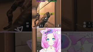 わざとじゃないんです💦#vtuber #シージ #rainbowsixseige #r6s #ゲーム実況