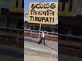 Om Namo Venkatesaya Shortsvideo Shorts Tirumala Tirupati Hindupilgrimage Venkateswaratemple