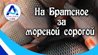 Рыбалка на братском море в октябре