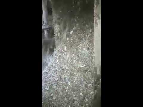 Combo Screen PCS Live Installation 4