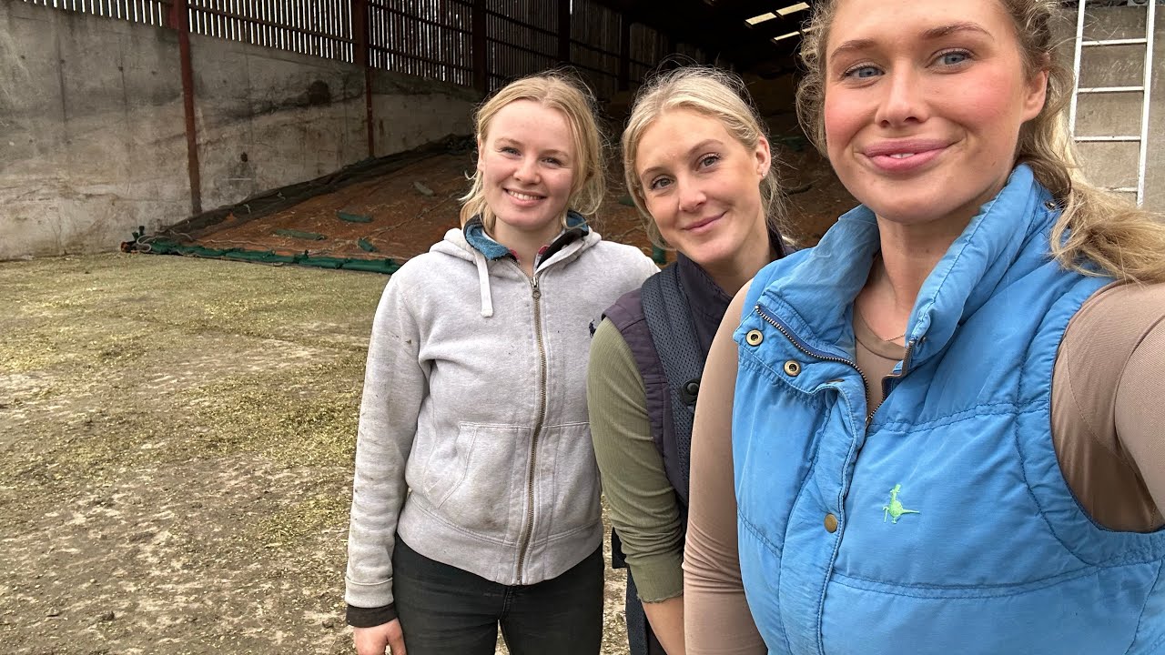 CHOPPING SEASON 24 OVER!