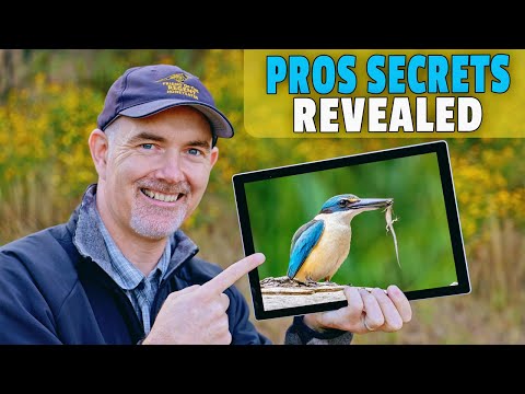 Mastering the Art of Wildlife Photography: Tips from a Pro Wildlife Photographer!!