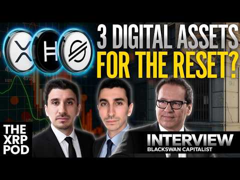 Drei digitale Assets bereit für den Finanz-Reset! Mit @BlackSwanCapitalist