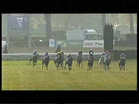 Velká pardubická steeplechase 2008