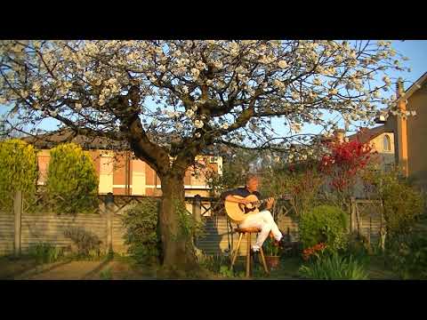 Daniele Ferrari - Il Ciliegio - (The cherry tree)