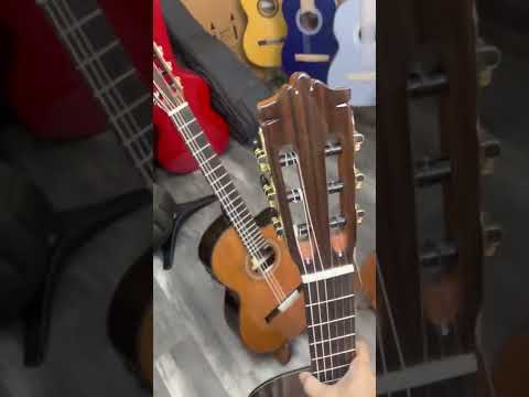 Ba phiên bản Guitar Martinez mc-58c ce và mc-88c ce, quá đã