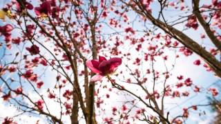 St. South - Get Good