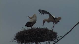 TERMÉSZETVÉDELMI KÖRKÉP