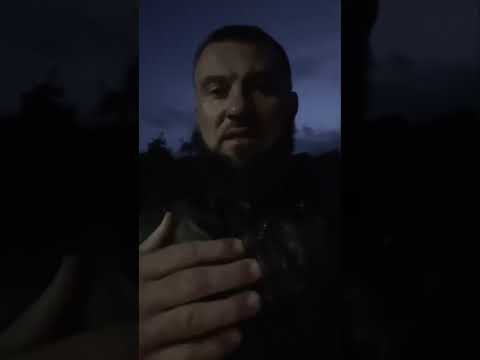 hfz. Almir Kapić, Obnovi svoj iman