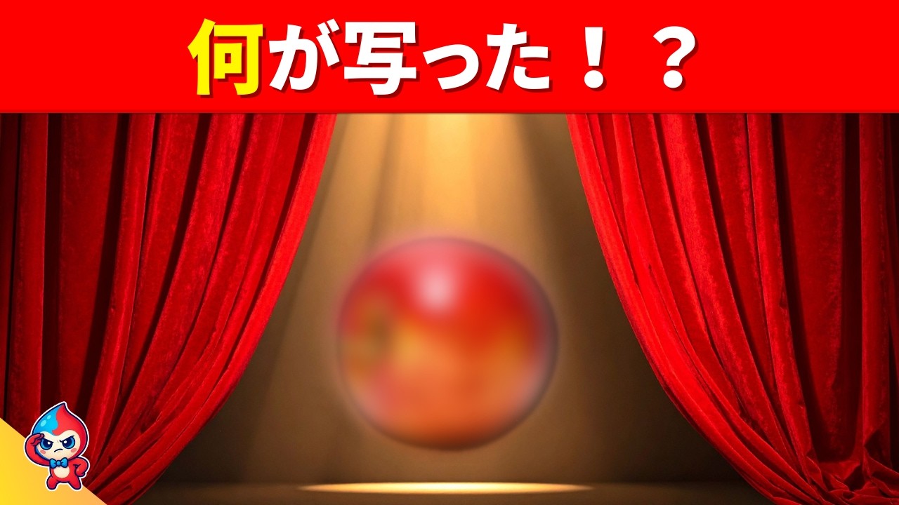 【全35問フラッシュクイズ】何が映ったか見えたかな？