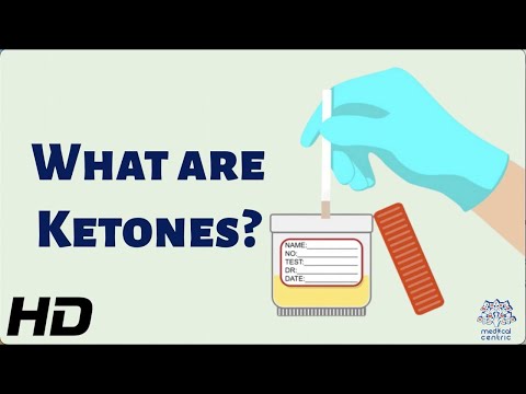 What Are Ketones and Why Are They So Important for Your Health?