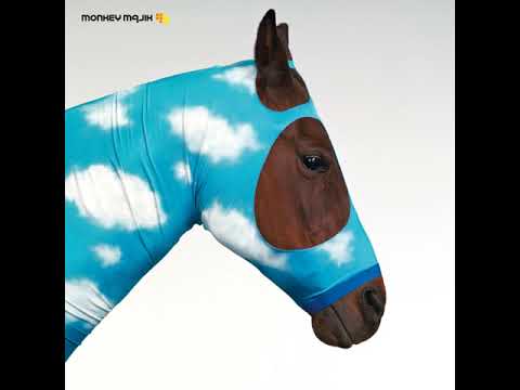 MONKEY MAJIK + 吉田兄弟 - 'Change'