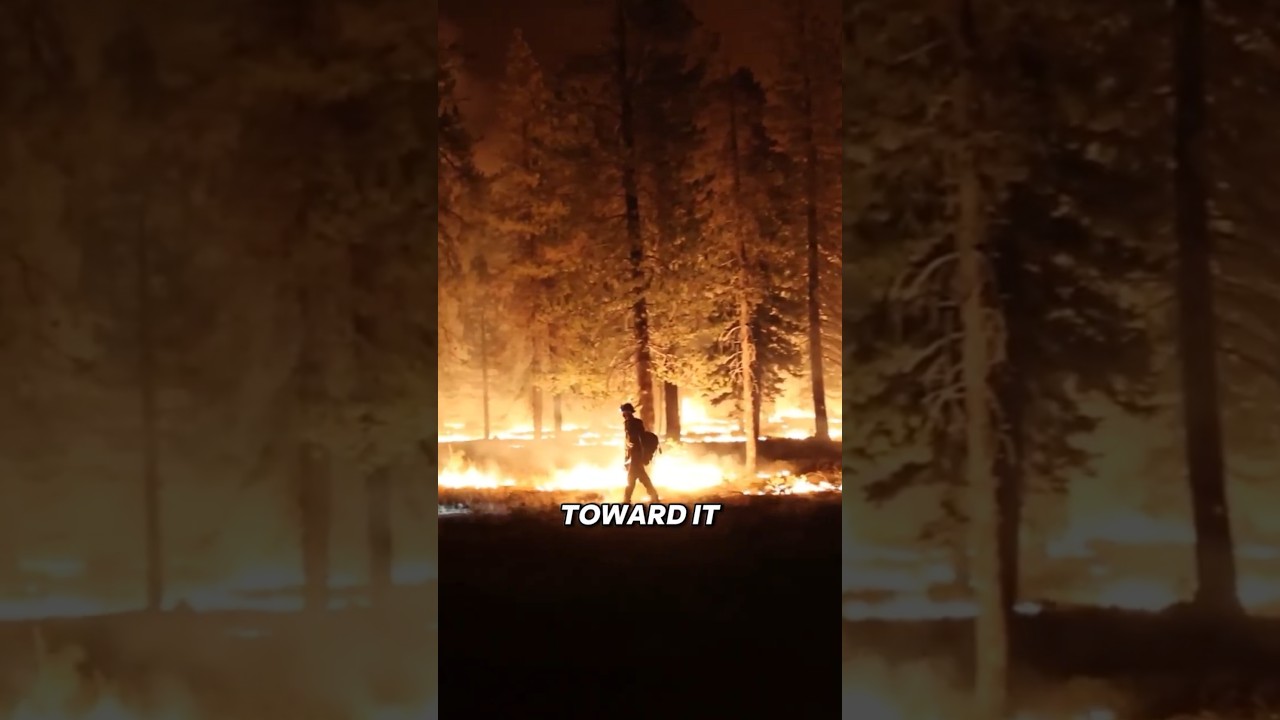 The BEST way to STOP a wildfire #interesting