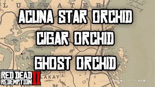 Acuna Star Orchid Location, Cigar Orchid, Ghost Orchid RED DEAD REDEMPTION 2