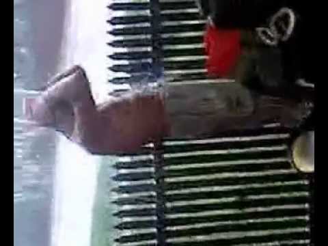 funny video adam fara eva ...:))