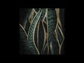 Fejká - Unfold