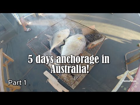 5 days anchorage! My first King Mackerel (Tanigue) Part 1 |Y2E11