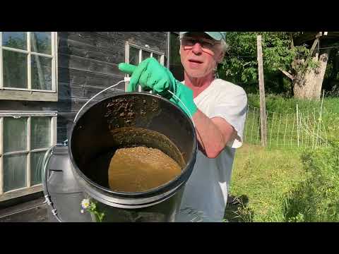 55 gallon biogas digester Part 3, Feeding