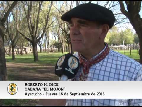 15-09-16 - Roberto Dick - Cabaña El Mojón