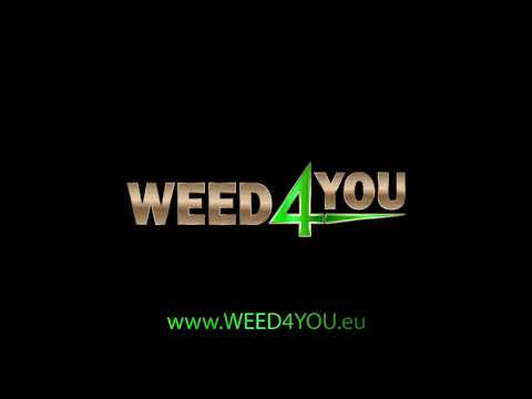 Welt aus Gold - PRINZEED feat. BANS, MASTINO