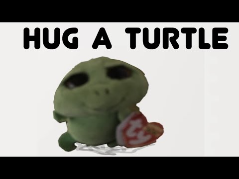 Beanie boo music video hug a turtle