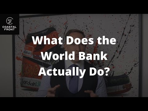 What Does the World Bank Actually Do?