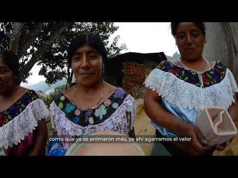 Empowering Mexico's Jungle:14 NativeWomenStart Up
