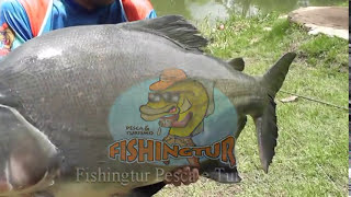 Programa Fishingtur na TV 043 - Nativos e Osato