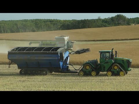 Canola Harvesting in Saskatchewan - Supercut Compilation