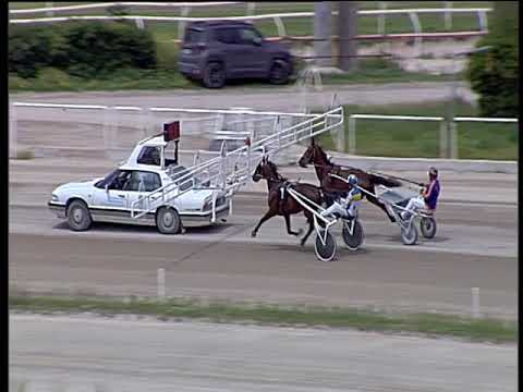 Trotto 31/05/2019 - prova di qualifica