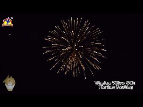 7inch Titanium Willow With Titanium Cracking Display Shell #fireworkstesting #fyp