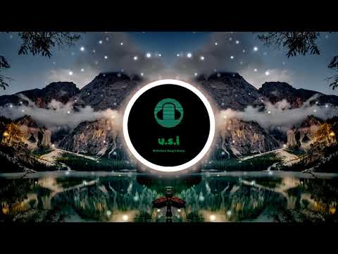 OLWIK feat. Johnning - This Life (Janji Bootleg) [U.S.L]