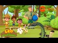 Don't get TOO CLOSE to the SNAKE! | Leo the Wildlife Ranger Compilation | @mediacorpokto