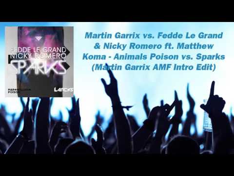 Martin Garrix vs Fedde Le Grand & Nicky Romero - Animals,Poison vs Sparks (Martin Garrix Intro Edit)