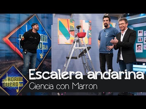 La escalera andarina de Marron para las labores de bricolaje en el hogar - El Hormiguero 3.0