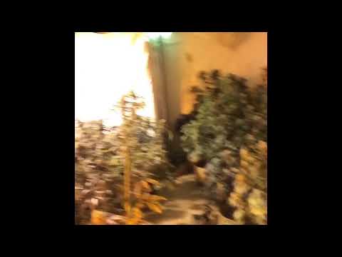 Bout Whatever - Checktime KB