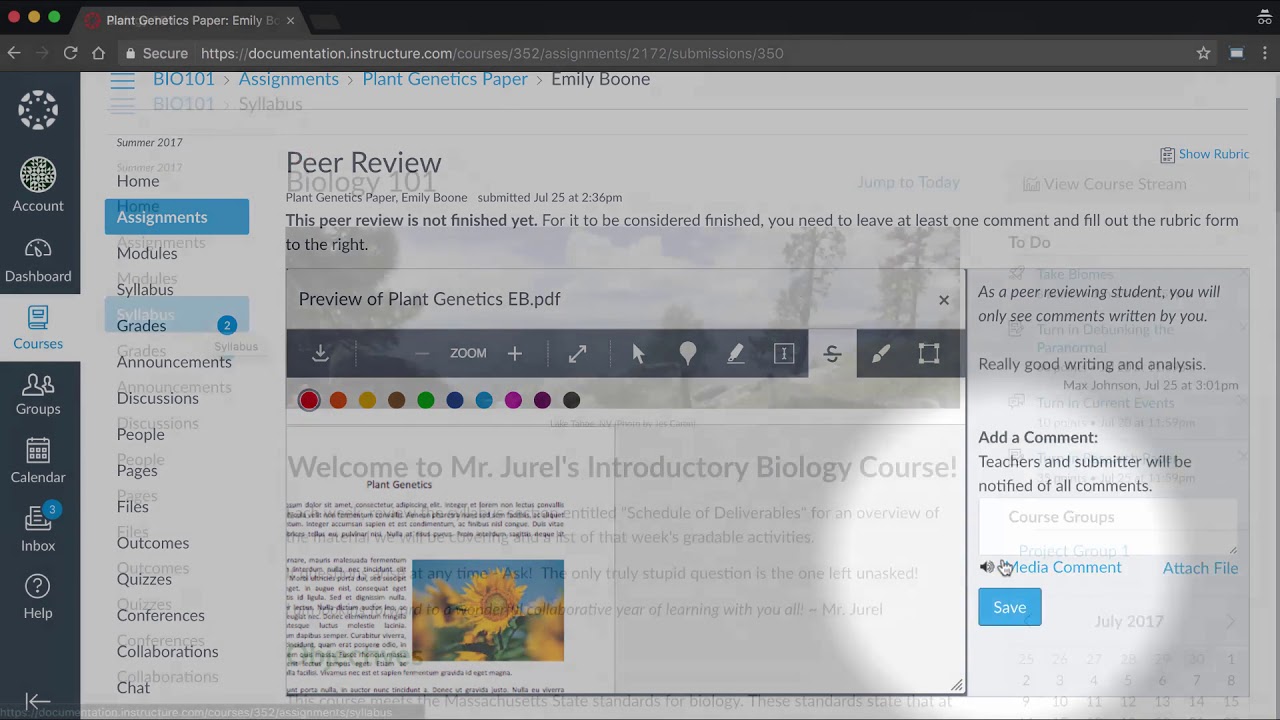 What is peer review on canvas?