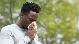 Report says Iowa is a top-10 state for worst allergies