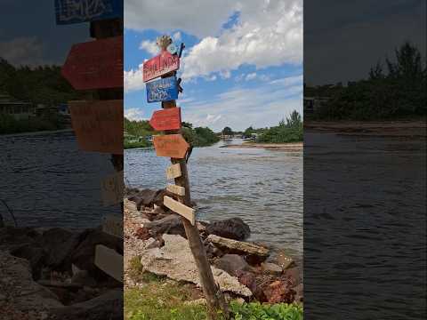 UM RIO PEQUENO E BONITO.#natureza #praia #mar #rio