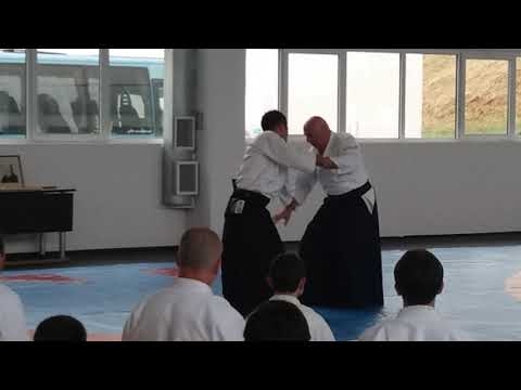 Seminar in Varna 15-17.06.2017 - Michele Quaranta - Video 9