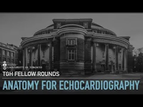 TGH APTE - Anatomy for TEE, Azad Mashari