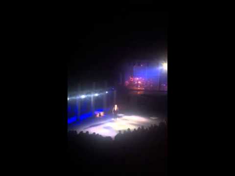 Anthem, Rein Alexander, Chess