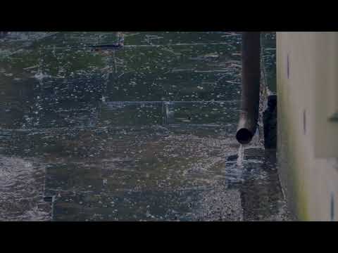 Pure Heavy Rain in Garden with Deep Thunder Sounds - Real Rain Sounds for Sleeping, Relaxing, Read