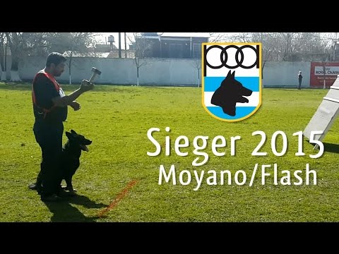 Eduardo y Flash - Sieger 2015